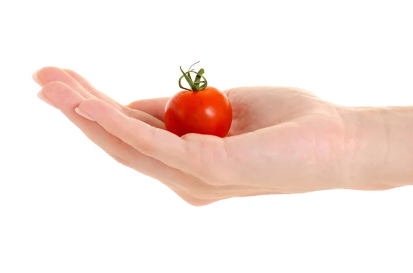 Kirschtomate in der Hand — Stockfoto