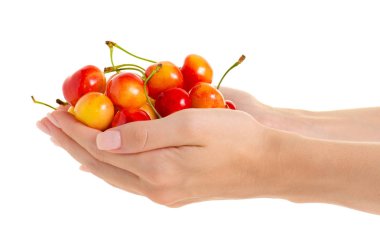 Beyaz arka plan yalıtımı hakkında elinde kiraz