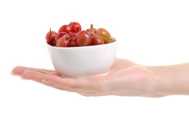 Elinde bir kasede Bektaşi