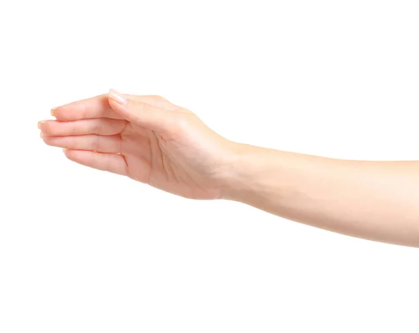 Female hands empty holding — Stock Photo, Image