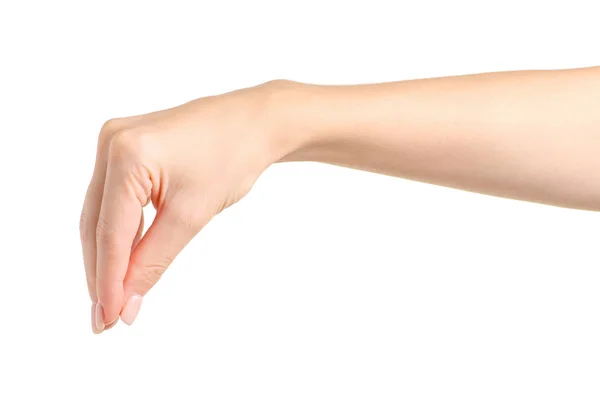 Female hands empty holding take — Stock Photo, Image