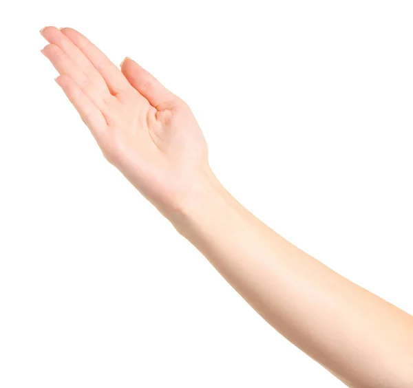 Weibliche Hand leer zeigt — Stockfoto