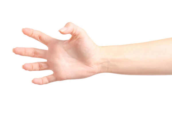 Weibliche Hände mit leeren Händen — Stockfoto
