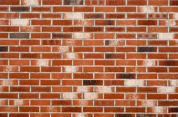 Brick wall red white texture — Stock Photo, Image