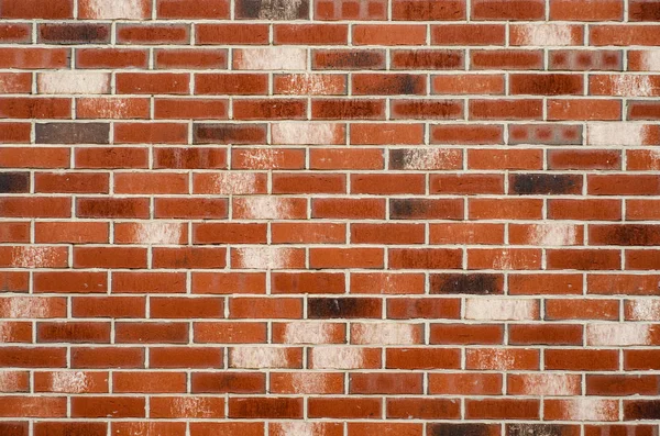 Pared de ladrillo rojo textura blanca — Foto de Stock