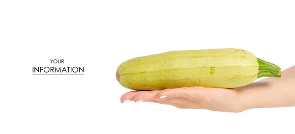 Zucchine a mano modello — Foto Stock