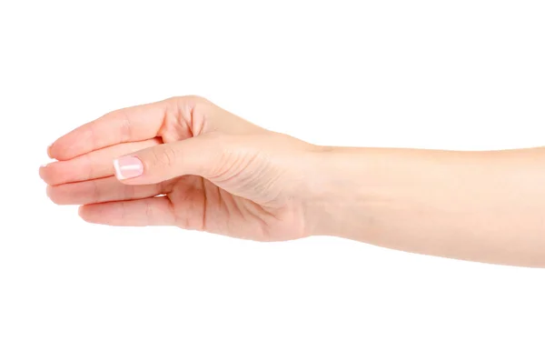Sostener la mano femenina — Foto de Stock