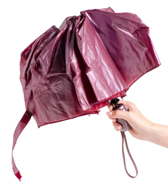 Folding umbrella in hand — Stock Photo, Image