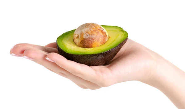 Авокадо в руке — стоковое фото