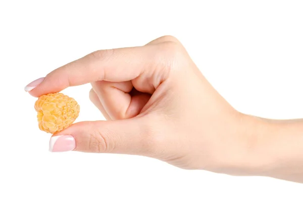 Yellow raspberries in hand — Stock Photo, Image