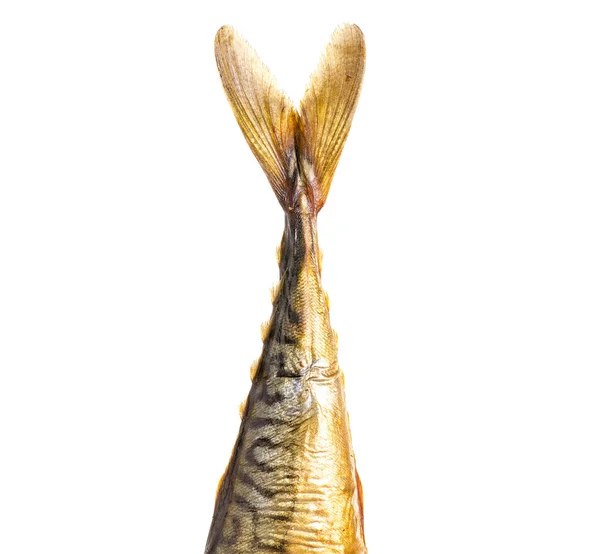 Svansen av rökt fisk makrill — Stockfoto