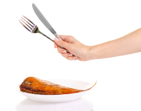 Poleiro de peixe defumado na placa branca nas mãos garfo e faca — Fotografia de Stock