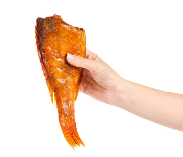 Smoked fish perch in hand — Stock Photo, Image