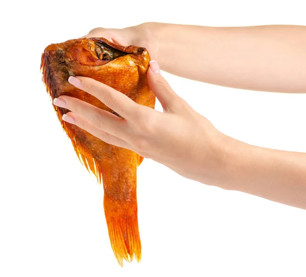 Rökt Fisk Abborre Handen Vit Bakgrund Isolering — Stockfoto
