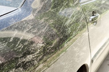 Siyah bir araba üzerinde kir