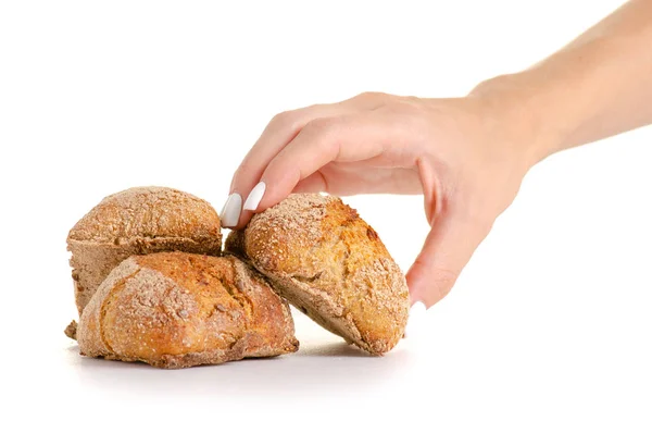 Hajdina zsemle pékség a kezében — Stock Fotó