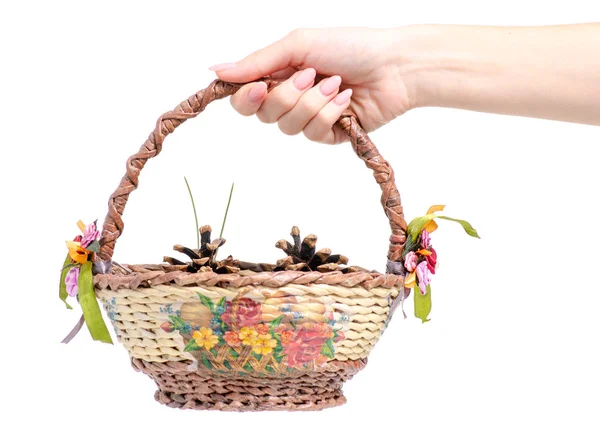 Basket with cones in hand — Stock Photo, Image