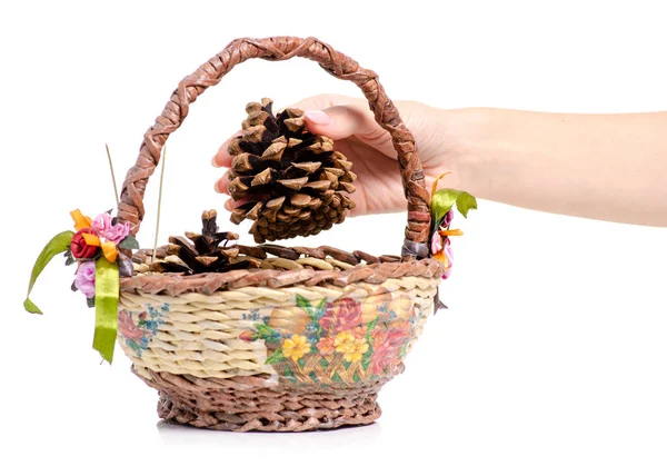 Basket with cones in hand — Stock Photo, Image