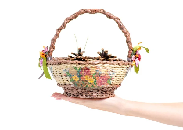 Basket with cones in hand — Stock Photo, Image