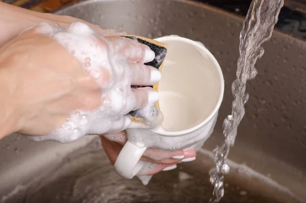 Éponge pour laver la vaisselle tasse tasse dans les mains — Photo