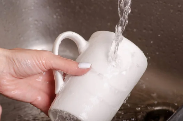 Esponja para lavar pratos caneca de xícara nas mãos — Fotografia de Stock