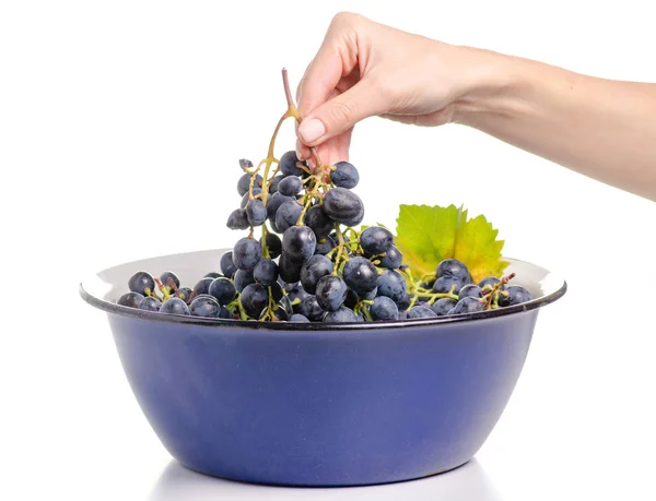Bowl of grapes in the hands Stock Picture