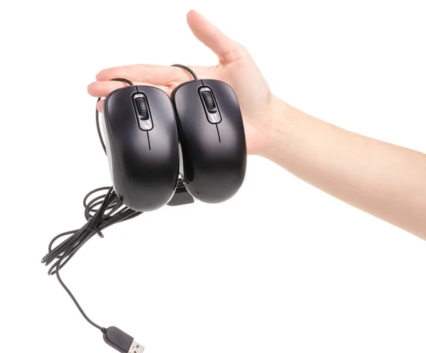 Dois ratos de computador na mão — Fotografia de Stock