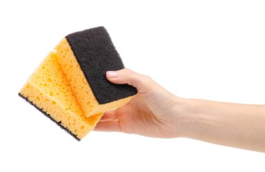 El temiz Mutfak süngeri