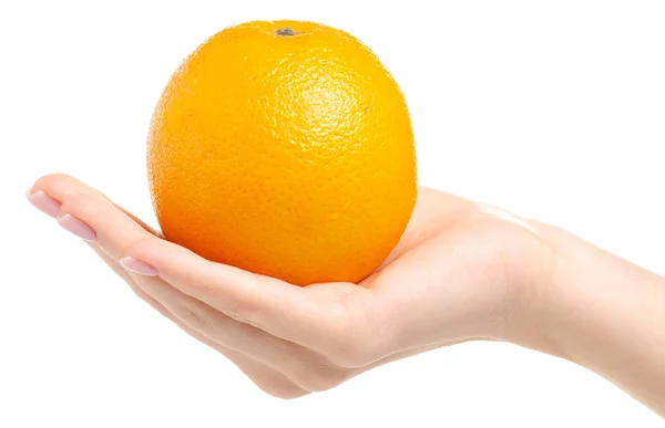 A orange in hand — Stock Photo, Image