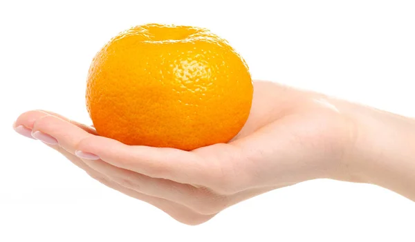 Elinde bir mandarin — Stok fotoğraf