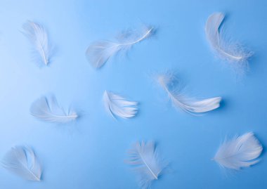 tüy hassasiyet güzellik