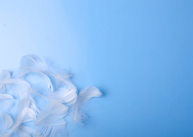 tüy hassasiyet güzellik