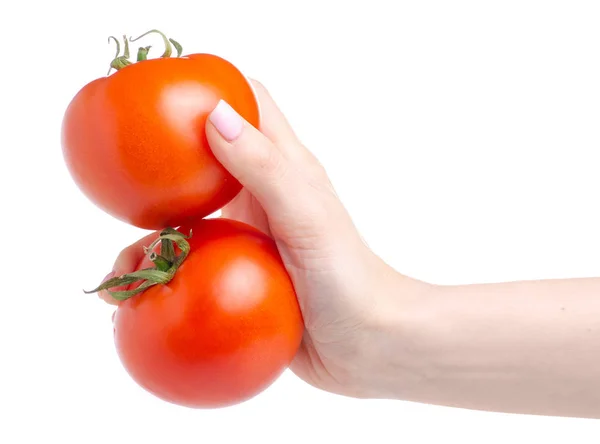 Dos tomates en mano —  Fotos de Stock