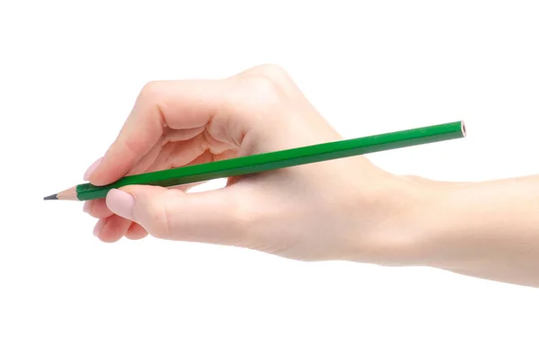Зеленый карандаш в руке — стоковое фото