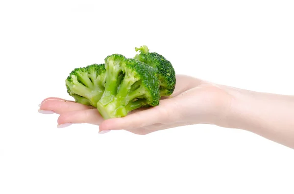 Bevroren broccoli in de hand — Stockfoto