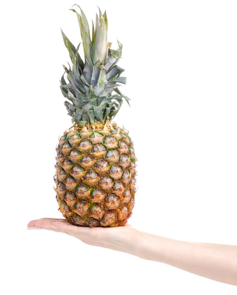 Słodkie owoce ananasa w dłoni — Zdjęcie stockowe