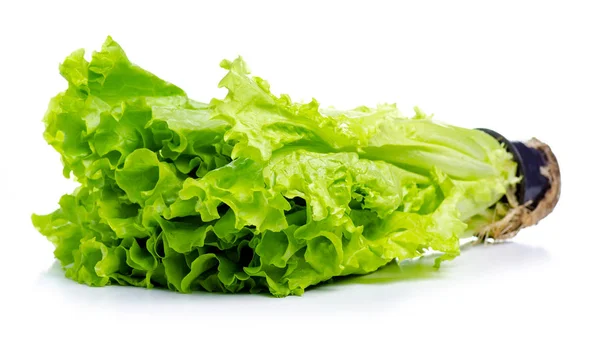 Salad leaves green — Stock Photo, Image