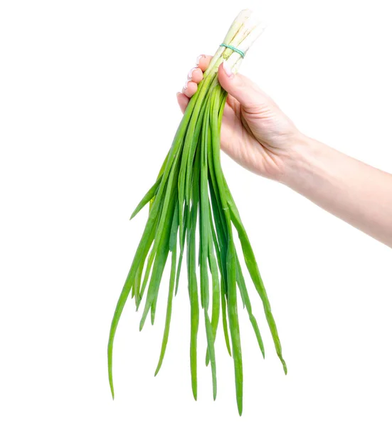 Cebollas verdes frescas en la mano — Foto de Stock