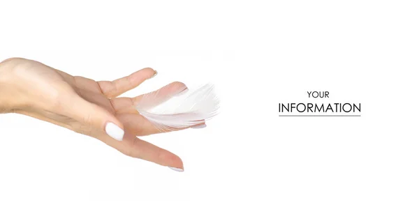 白色羽毛在女性手美容护肤的皮肤图案 — 图库照片