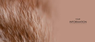 Bej kırmızı kürk makro villus doku detay doğa desen