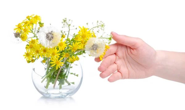 Glasvase mit Frühlingsblumen — Stockfoto