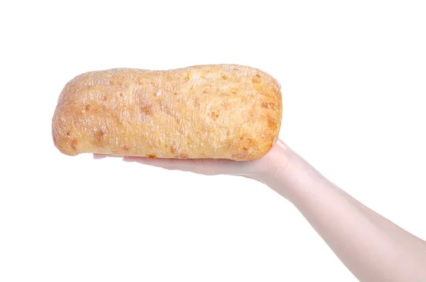 Ciabatta a sajtot a kezében — Stock Fotó