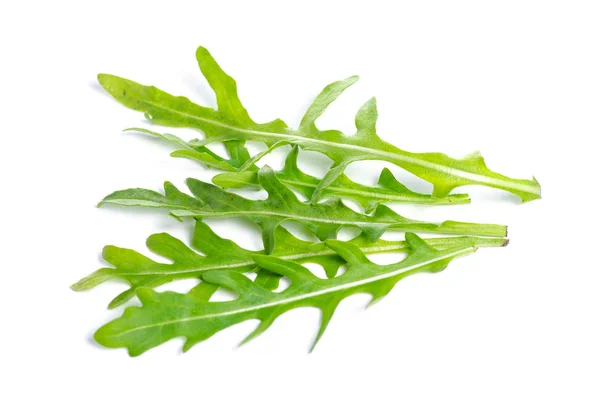 Arugula zöld növény frissessége — Stock Fotó