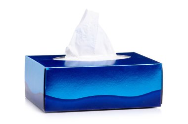 Kutu hijyen peçeteleri