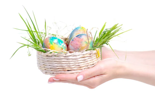 Malowane jaja w koszyku w ręku — Zdjęcie stockowe