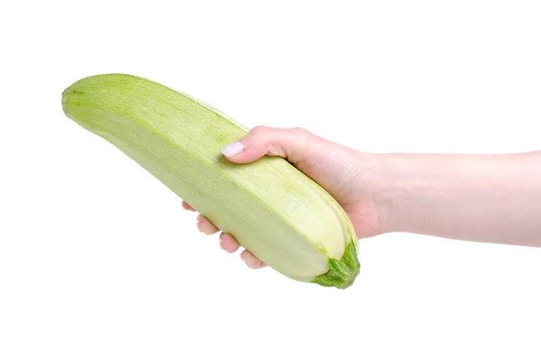 Zucchini in hand — Stock Photo, Image