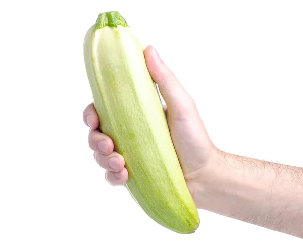 Zucchini in hand — Stock Photo, Image