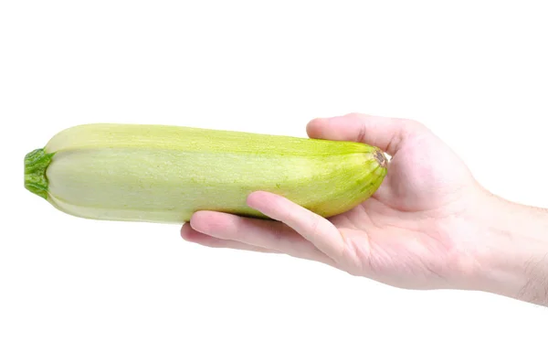 Courgette in hand — Stockfoto