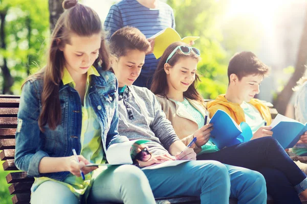 Skupina studentů s notebookem na školním dvoře — Stock fotografie