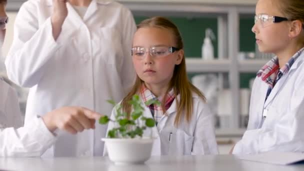 Studenti a učitel s rostlinou v hodině biologie — Stock video
